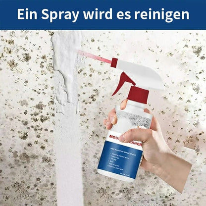 🔥Kaufe 2 und bekomme 2 gratis 🦠Schimmelentferner Reinigungsschaum Spray