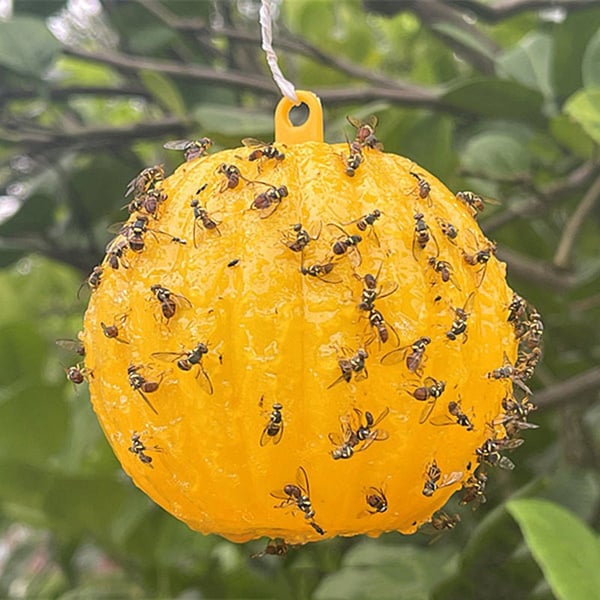 🎁 Hängende, umweltfreundliche Fruchtfliegenfallen