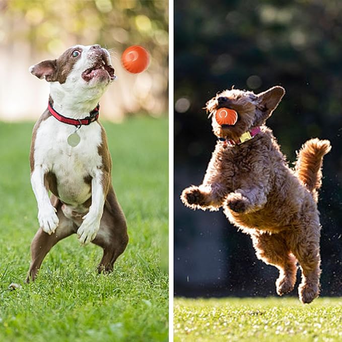 🎅🎁 Automatischer, intelligenter, neckender Hundeball, in den man nicht beißen kann🐶