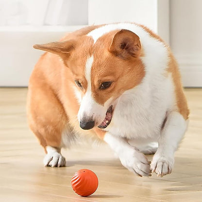 🎅🎁 Automatischer, intelligenter, neckender Hundeball, in den man nicht beißen kann🐶