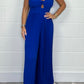 🌷Jumpsuit mit Tube-Top in reiner Farbe