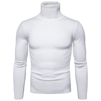 🎅🎄Weihnachtsverkauf🥳- Warmer Rollkragenpullover für Herren