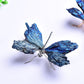 🦋Aura Turmalin Kyanit Libelle✨