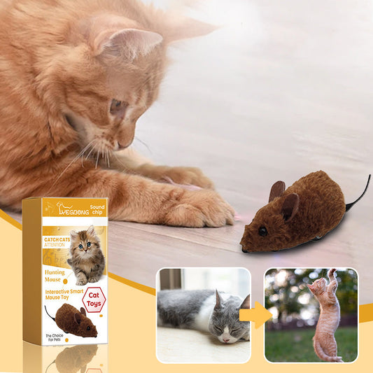 Mäusespielzeug für Katzen und Hunde
