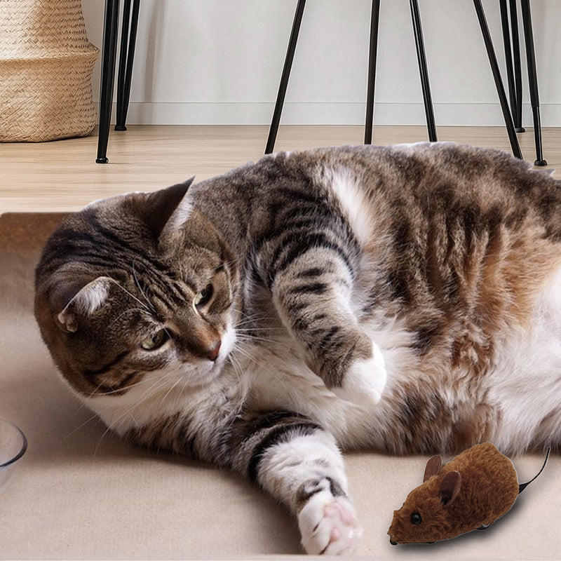 Mäusespielzeug für Katzen und Hunde