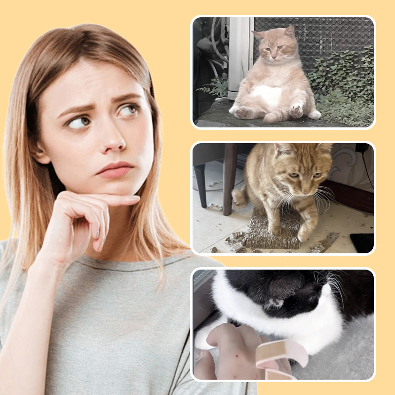 Mäusespielzeug für Katzen und Hunde