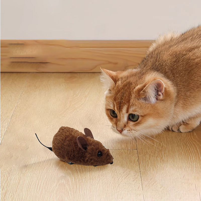Mäusespielzeug für Katzen und Hunde