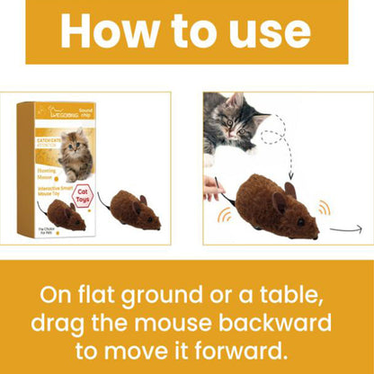 Mäusespielzeug für Katzen und Hunde