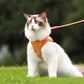 Fluchtsicheres reflektierendes Katzengeschirr mit Leine