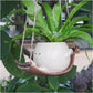 🔥BUY 2 GET 10% OFF💝Smiley Face Planter Pot