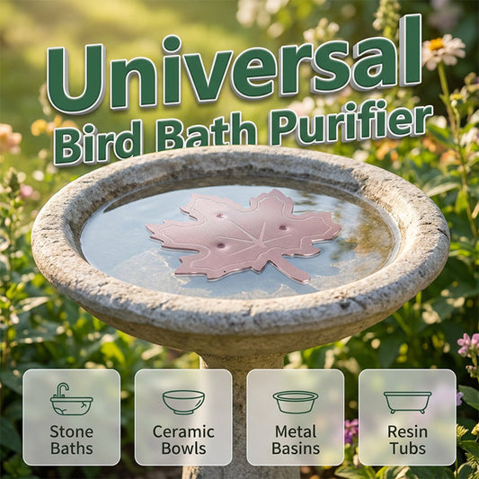 ⏳Zeitlich begrenztes Sonderangebot⏰🍁Universell passender Vogelbad-Luftreiniger🕊️✨