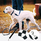 📢📢49% Rabatt!! ⏰🎁 2+1 GRATIS!! 🥳🐶 Heißer Verkauf – Einziehbarer Hunde-Autosicherheitsgurt 🚗