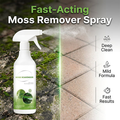 🌿 Moos- & Algenentferner Spray für Außenbereiche – Tiefenreiniger für Terrasse, Stein & Einfahrt