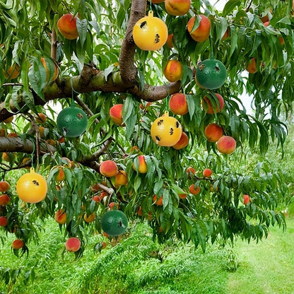 🎁 Hängende, umweltfreundliche Fruchtfliegenfallen