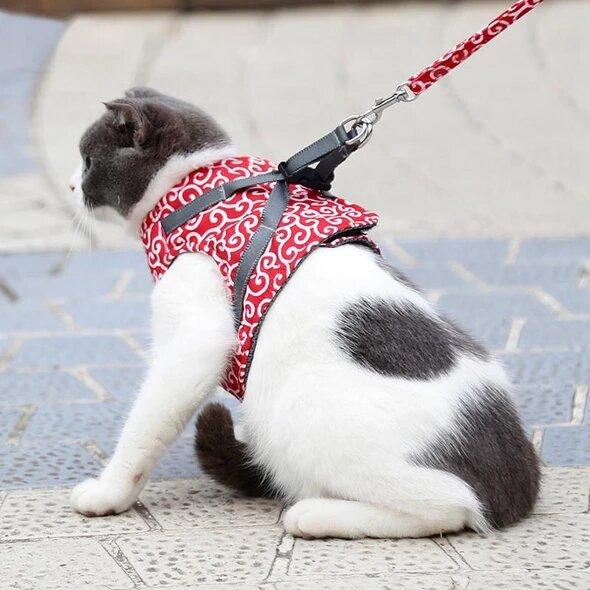 🔥Katze, Hundeweste, Geschirr und Leine, bruchsicherer Brustgurt, Katzenkleidung